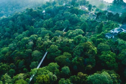 The Habitat Penang Hill